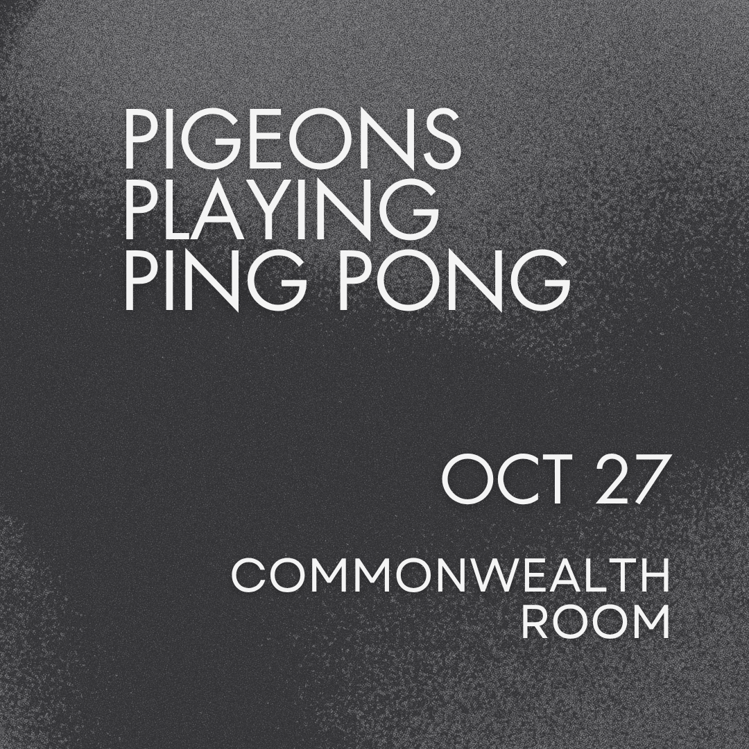 Pigeons Playing Ping Pong